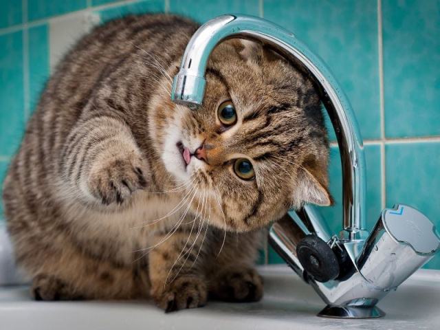 162084880_2921325578143318_4092443248057714392_n