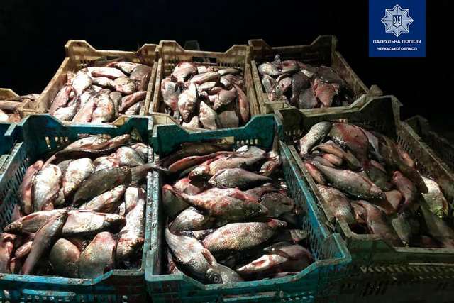 166683957_3799709616773753_3408546206832591598_n