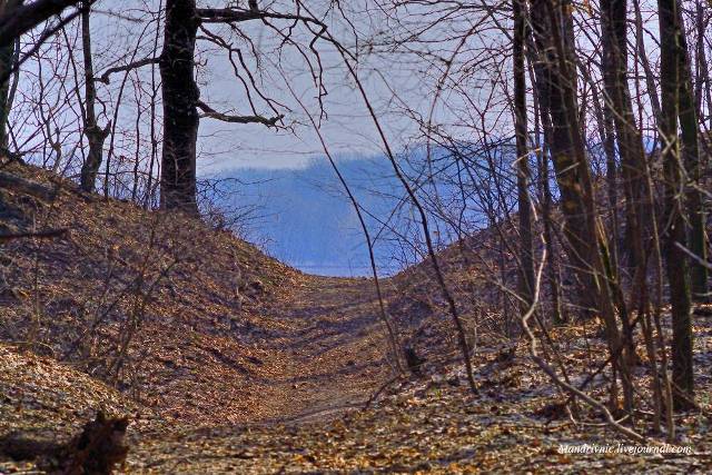 17349775_750038175165203_6405652226950174924_o