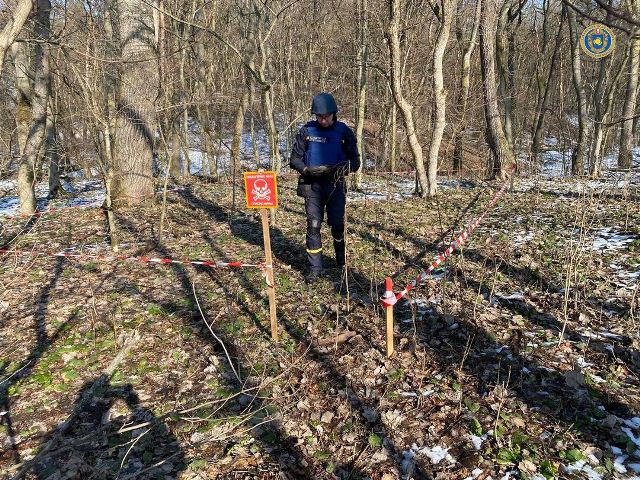 161068702_3833748446661768_8345381216114920185_o