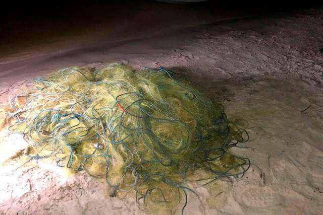 167528537_3799709746773740_7469687757912825580_n