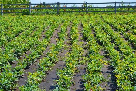 158608572_3921190967919370_5109313845081202978_o