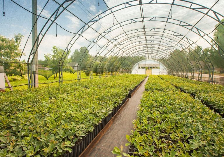 156115295_773066626653986_3283521149312106296_o-1536x1076-1-768x538