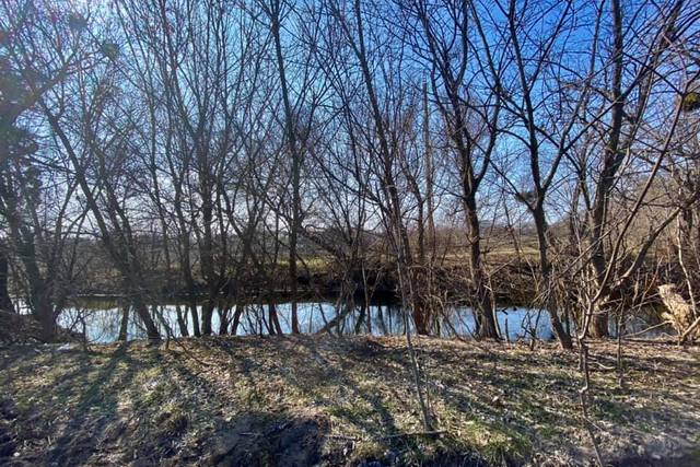 166478855_2830468703873596_197817044579428120_n