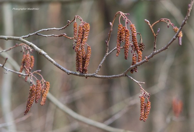 88080664_1465968926905454_4673138393318686720_o