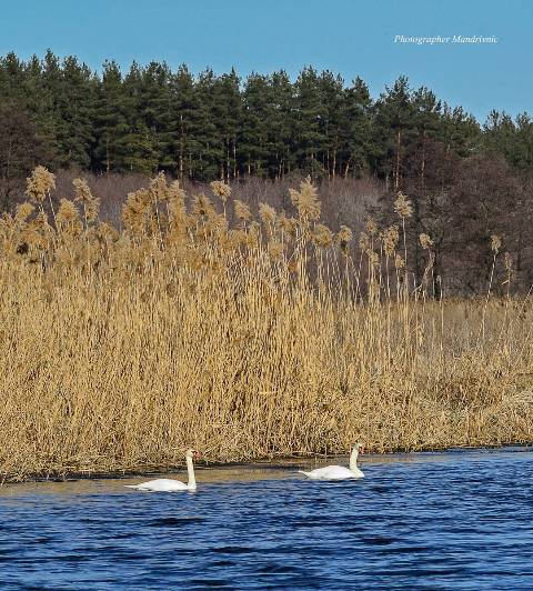 159277511_1788271874675156_6384403552632172457_o