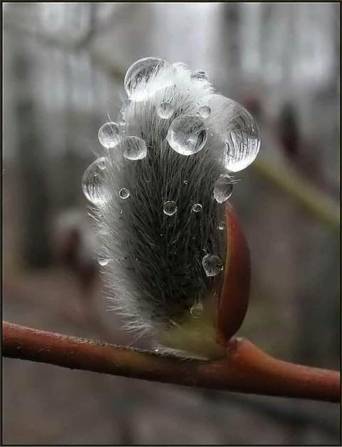 154876744_1118781352276901_5828987229594718810_n