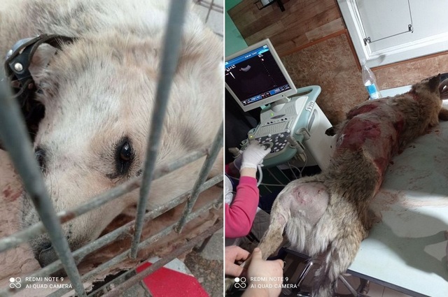 163454384_796677820939719_5897578449252240536_o