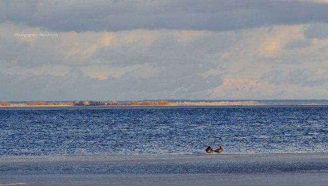 160715417_1791116074390736_8839484518891137736_o