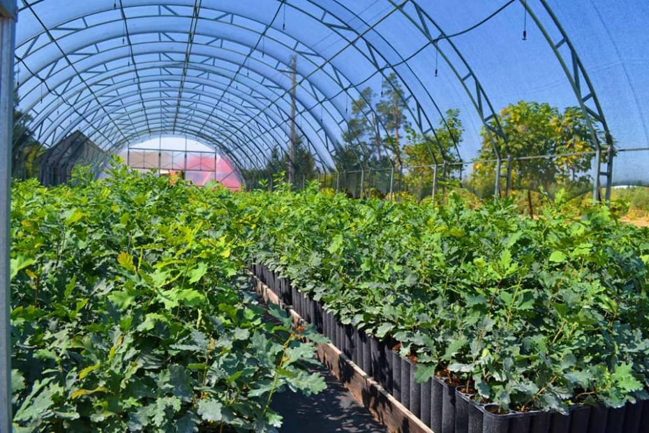 275515664_274123668219780_5103852388738410110_n