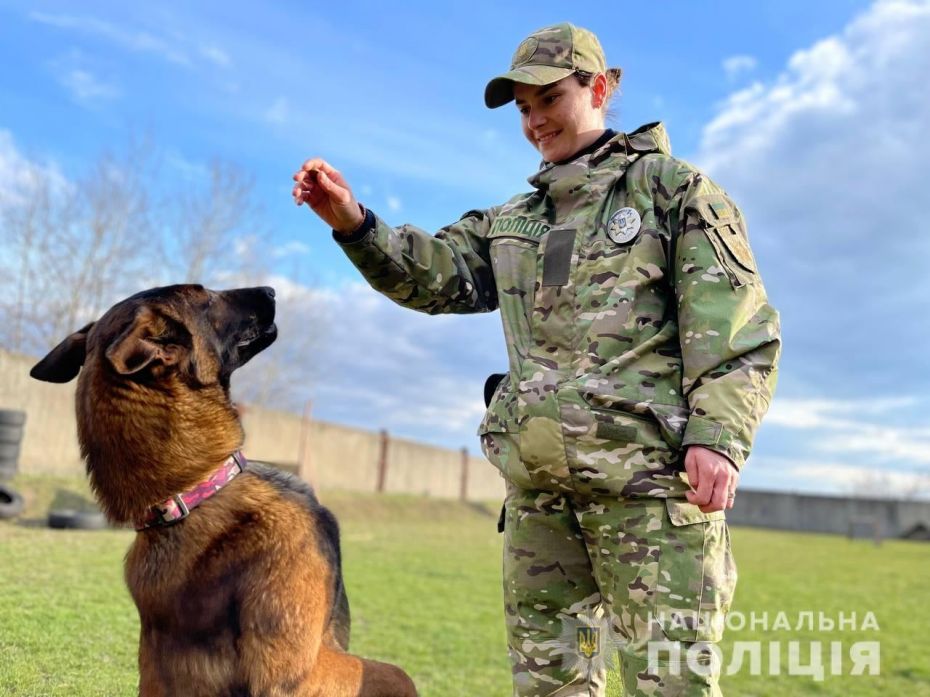 277767093_1326060221212841_8524478936101491245_n