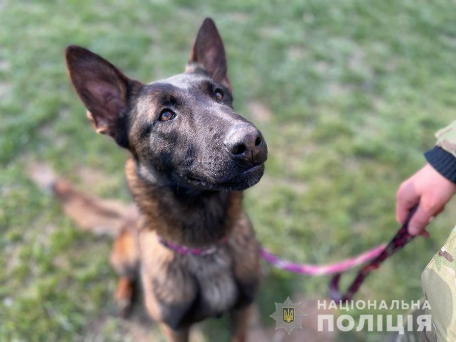 277777734_1326060204546176_814365511729372834_n