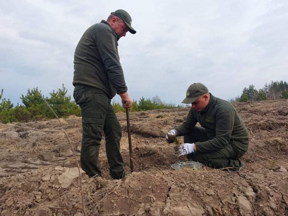 278082970_289821143316699_4583277649718446545_n