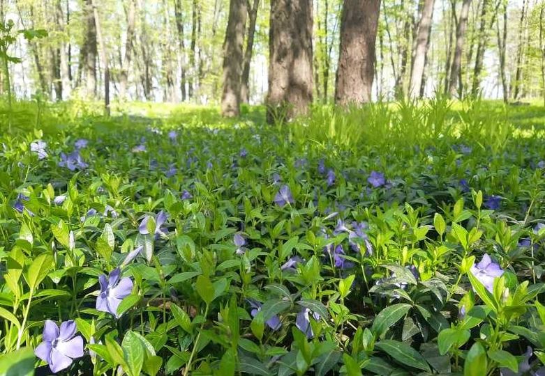 278583812_356292989862651_1344237963153766121_n