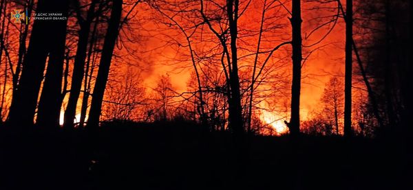 278157353_348381397326574_2332985670854066810_n