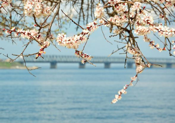 278555463_371707694996977_1985508075356696113_n