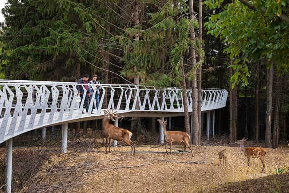 277167407_494996555497426_4392805718603946905_n