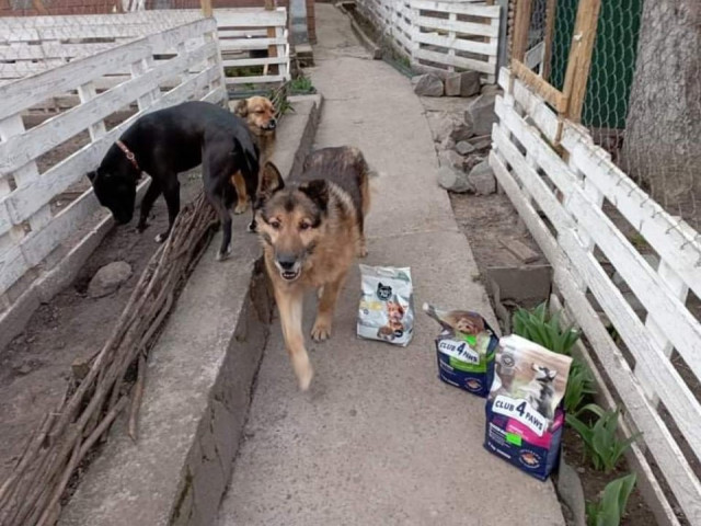 Honeyview_277911251_511314117136324_8475204080594599889_n