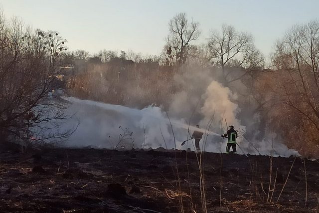 277099868_1209783633143275_783600947505201831_n-1024x1024