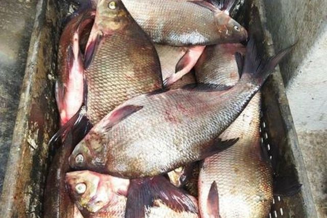 277579206_1323516331467230_3573129078370418329_n