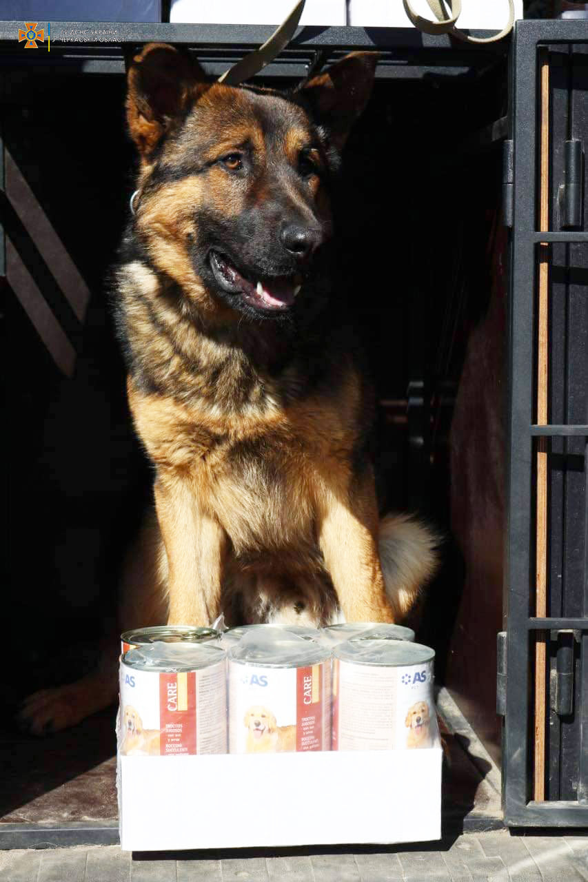 275287799_338117625019618_554511468568057640_n