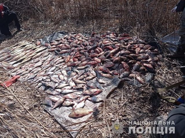 274995371_1315131785639018_5399343756811489912_n