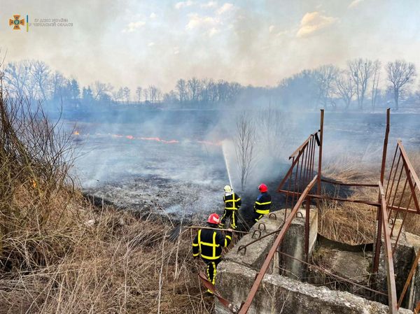 277305685_342469984584382_4899015360539614904_n