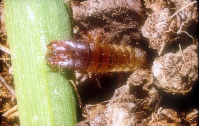 277739185_345360147622602_8353536694533647206_n