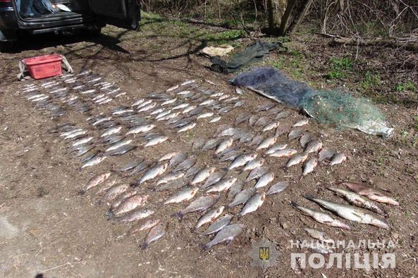 278434498_1333810087104521_8069257192863897134_n