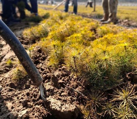 276171819_335582021933664_7336464695411099026_n