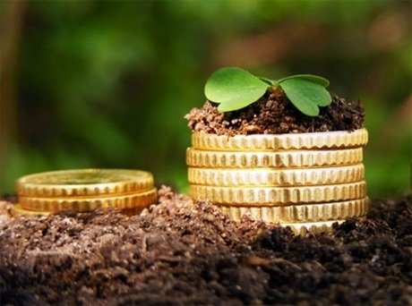 275562831_335120435308926_7008620362758429759_n