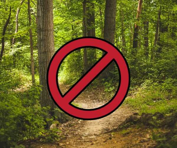 T8nidZE7QSsE1jjD6q40ZwBZoMx9KVCK