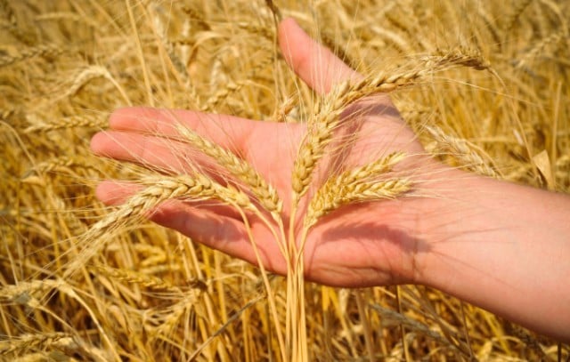 277738520_342131421278808_5832399093004425370_n