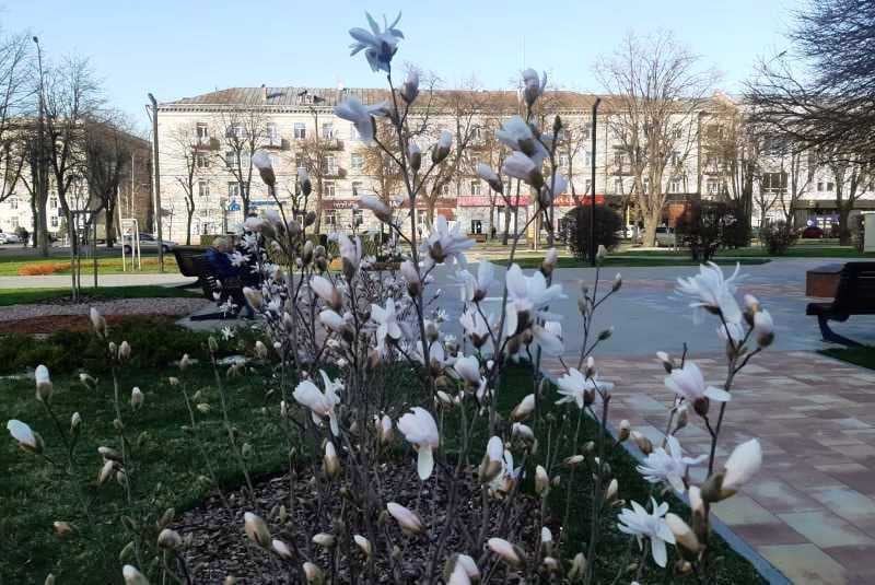 276165231_354523650039585_1794792338935788048_n