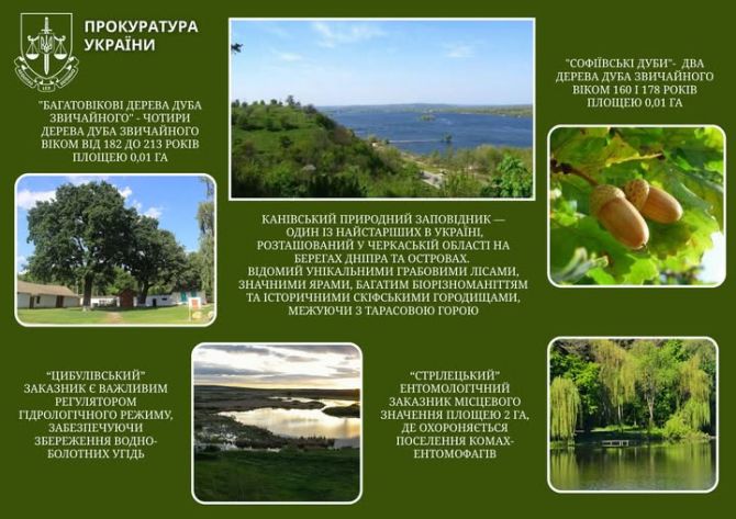 648415984_1368540148633611_2689430447073266893_n