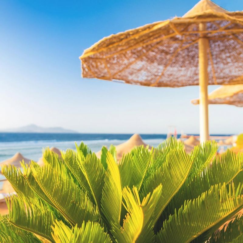 IMG-8e7702c1f285cf09e1116aabbba1f123-V