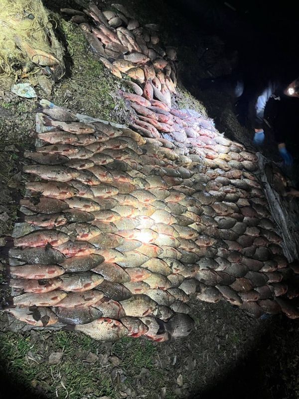 photo_2026-03-31_16-20-33