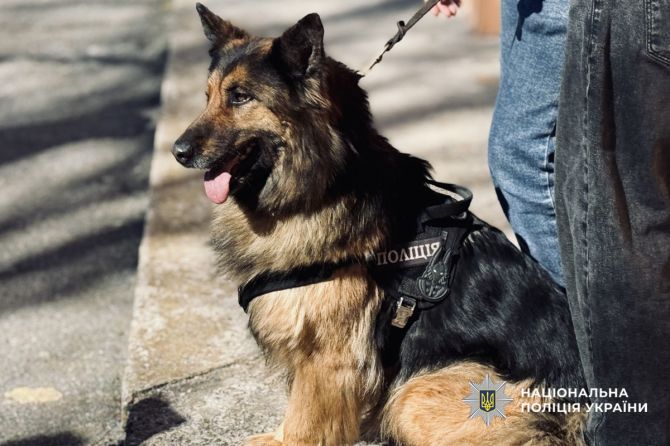 648254028_1407924911378793_4195466239973110622_n