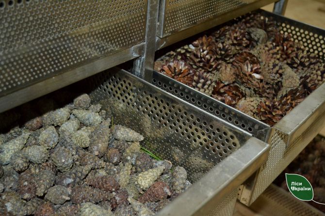 651430252_934692736193683_4519448477246781858_n