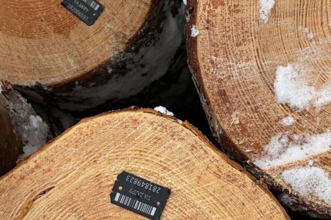 14ca4e5c-0e82-41fe-a5b9-0e3bcb353e1f