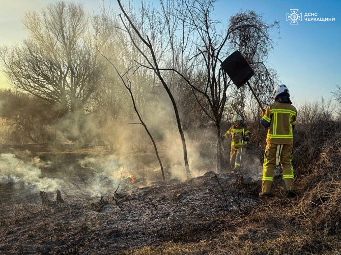 657610278_1374825294682174_5457569265426413018_n