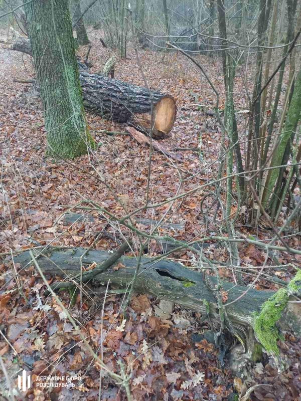 nezakonni-rubki-u-nacparku-na-cherkashhini-dbr-povidomilo-pro-pidozru-trom-inspektoram-2
