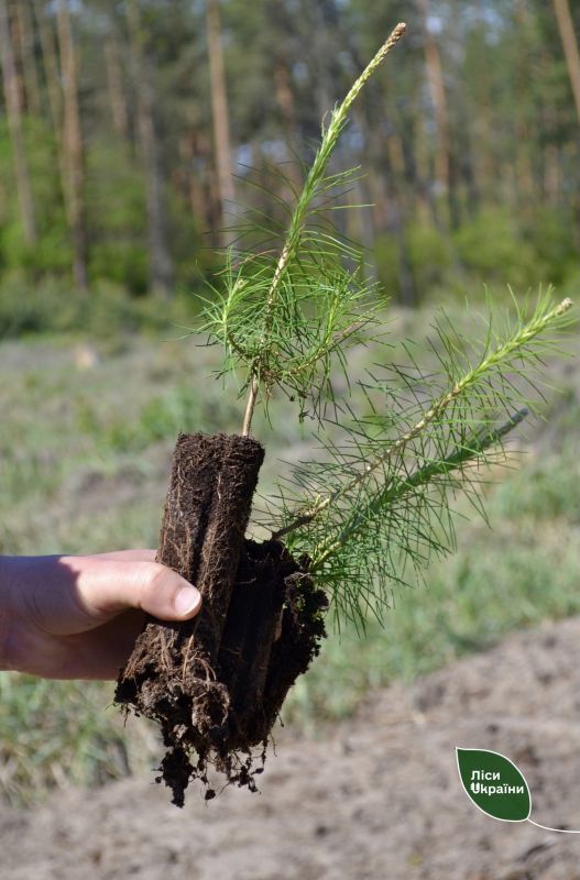 649153619_933524489643841_2525363950061834251_n