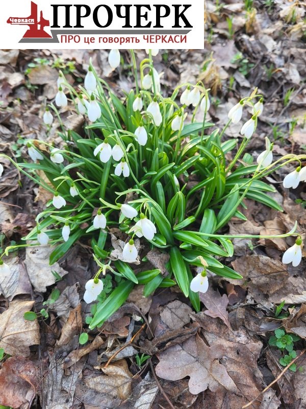 111d967a25bb1e8e2e205d562facc593