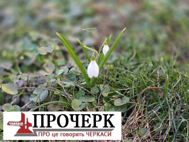 Без назви6789