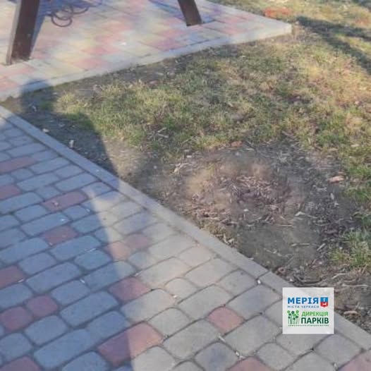 657795241_928418496620148_7764038034741373125_n