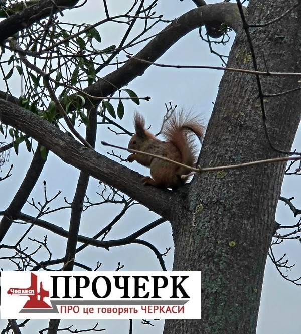 Без назви654