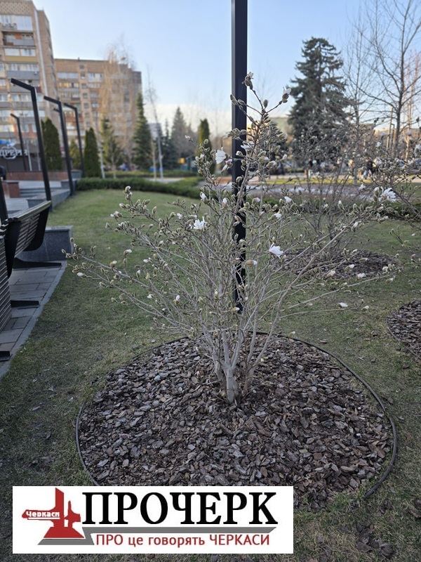 Без назви6543