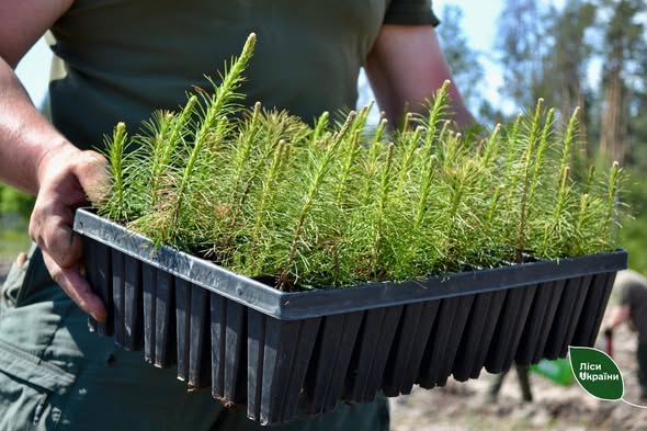 651023690_933524466310510_1919751719340698990_n