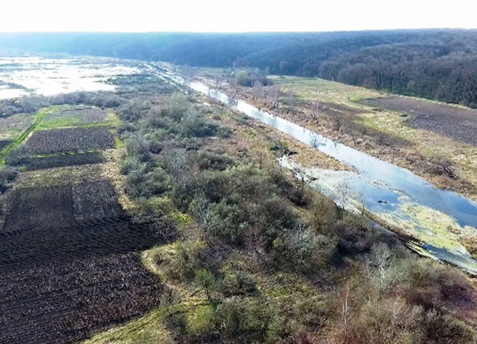 56119512_1312452935559587_7637422059630362624_n